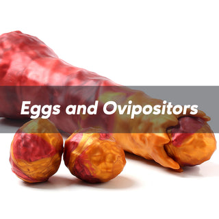 Eggs and Ovipositors