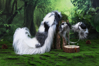 Blue merle border collie dog tail and ear realistic faux fur dog ear and tail anime cosplay therian puppy ear and tail dog kemonomimi furry