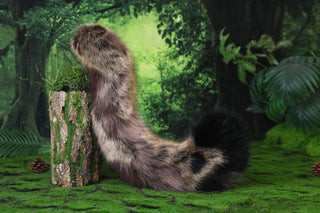 Faux fur tortoiseshell cat tail and ear tortie cat tail butt plug kitten kemonomimi anime cosplay fox ear and tail wolf ears therian fursuit halloween gift