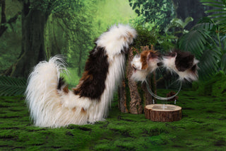 Red Merle Border Collies dog tail and ear faux fur red border collie dog ear and tail anime cosplay therian puppy ear and tail kemonomimi