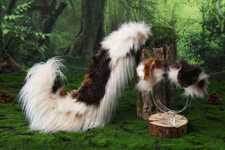 Red Merle Border Collies dog tail and ear faux fur red border collie dog ear and tail anime cosplay therian puppy ear and tail kemonomimi
