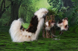Red Merle Border Collies dog tail and ear faux fur red border collie dog ear and tail anime cosplay therian puppy ear and tail kemonomimi
